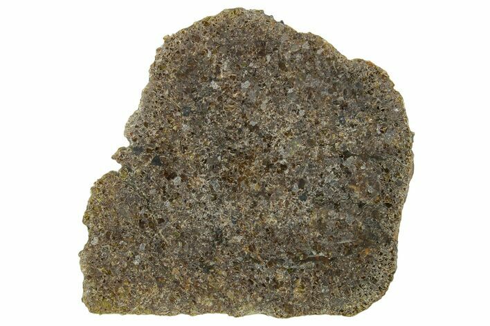 Polished Diogenite Meteorite ( g) Slice - NWA #375698